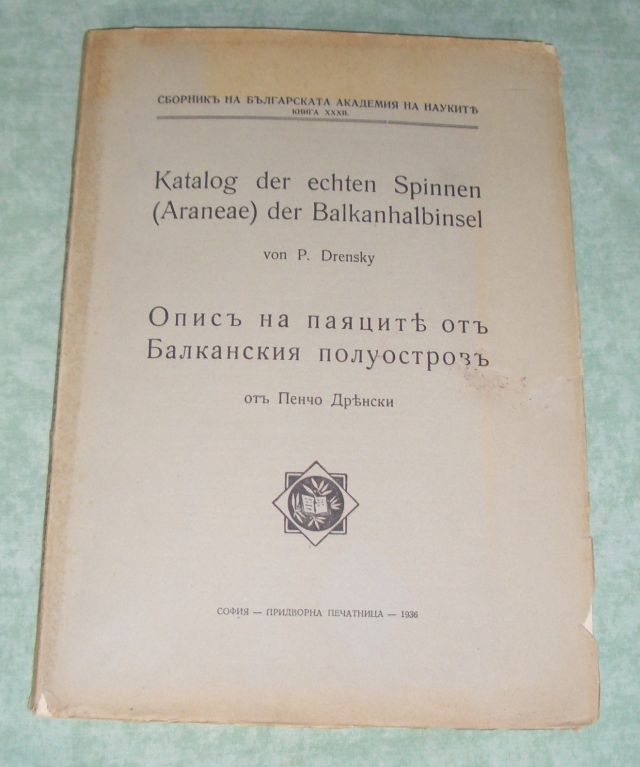 Drensky, Katalog d. echten Spinnen