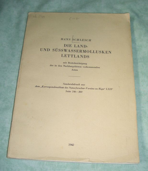 Schlesch, Süßwassermollusken