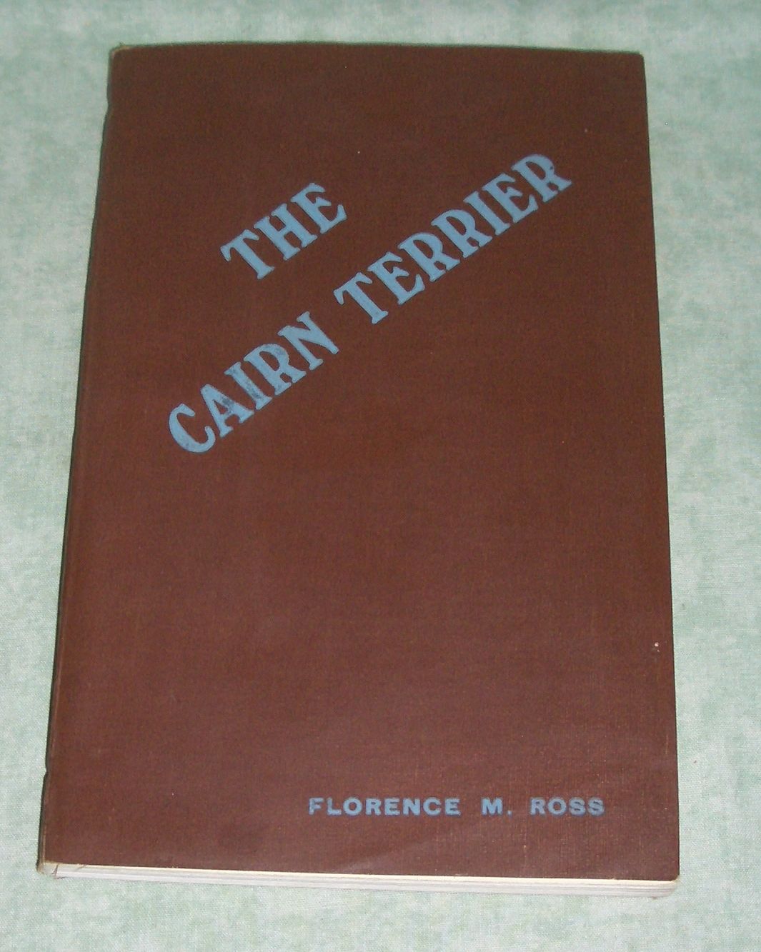 Cairn Terrier
