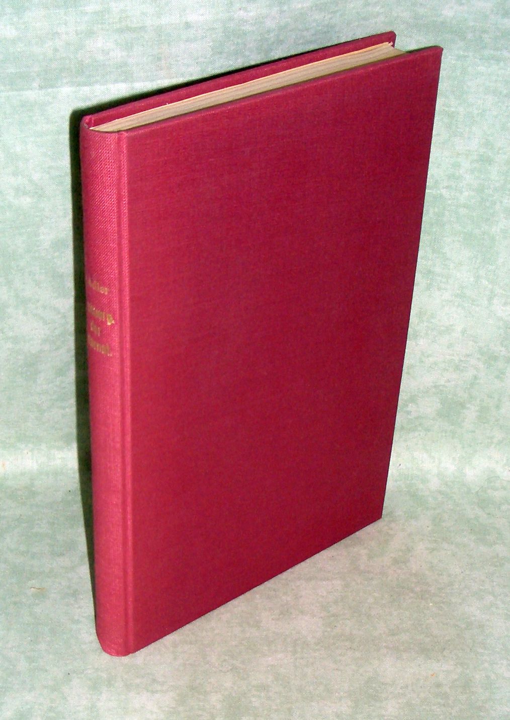 Erneuerung Internationale