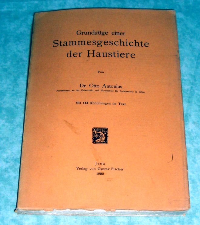 Antonius, Stammesgeschichte